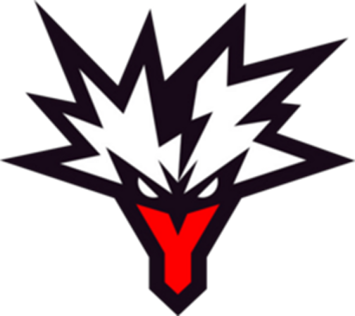 Team Yandex