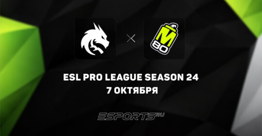 Team Spirit — последняя команда, вышедшая в плей-офф ESL Pro League Season 24