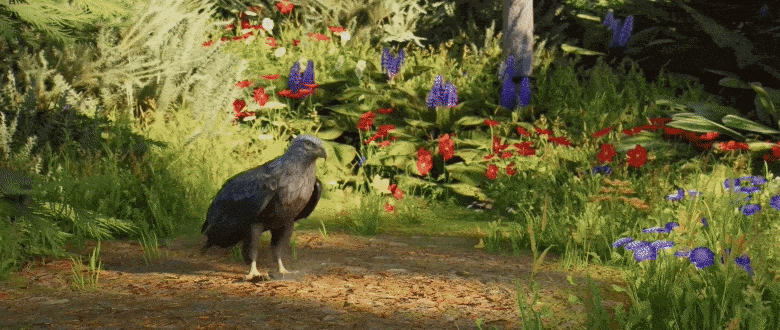Planet Zoo 2 birds