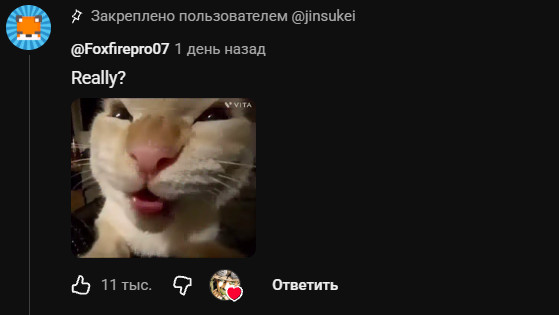 youtube cat gif