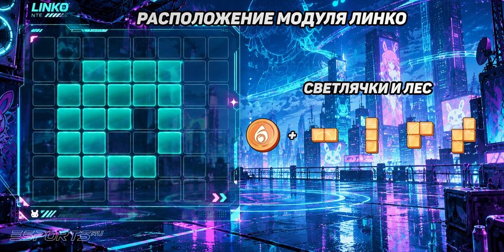 Расположение модуля на Линко в NTE