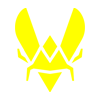 Team Vitality